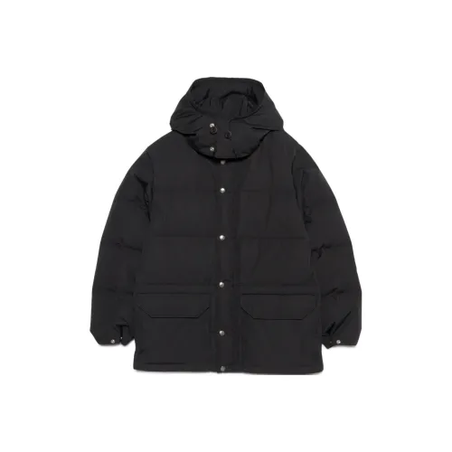 THE NORTH FACE PURPLE LABEL 65 35 Sierra PARKA Пальто Мужской