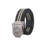 Чёрные полосы