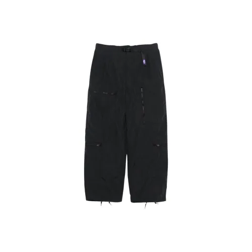 THE NORTH FACE PURPLE LABEL Брушированный Погода Stroll Field Карго Брюки Мужские