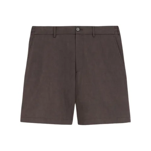 THEORY Коричневые Мужские Повседневные Шорты