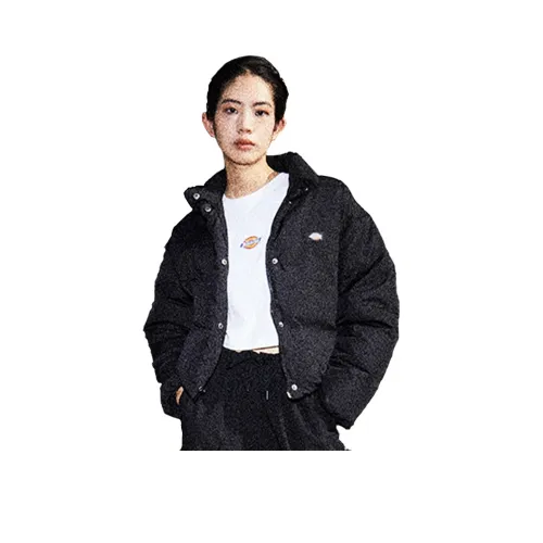 Dickies Down Jacket Черный DK0A87CABLK Унисекс
