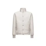 Ледяно-серый