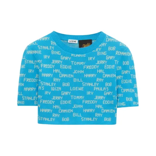 LOEWE Синие Женские Свитеры