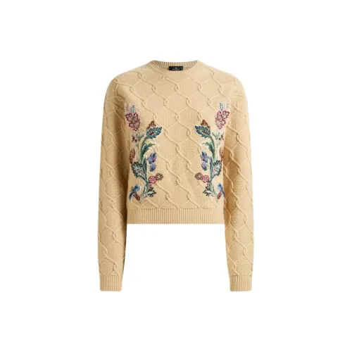 ETRO Светло-янтарные Женские Свитеры