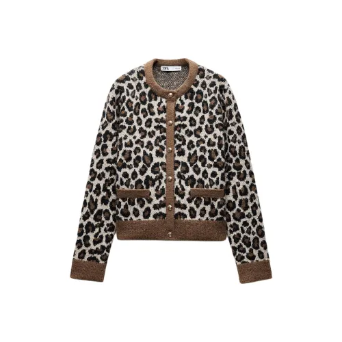 ZARA Леопардовый принт Женская трикотажная одежда