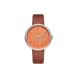 2131 - Коричневый