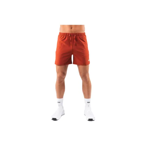 ALPHALETE Мужские спортивные шорты