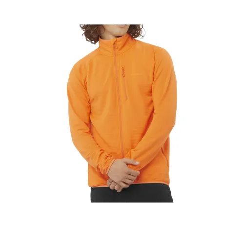 SALOMON Альпинизм Одежда Мужская Желтая