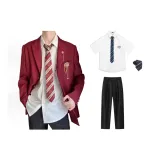 Красный комплект из 4 предметов [пальто + рубашка + галстук + брюки делового костюма]