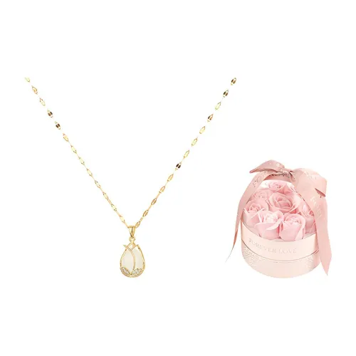 SHEEHHYY Титановые стальные ожерелья женские