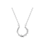 Шип Розовый Мужской Модель