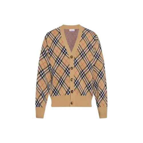 Burberry Коричневый Мужской Трикотаж