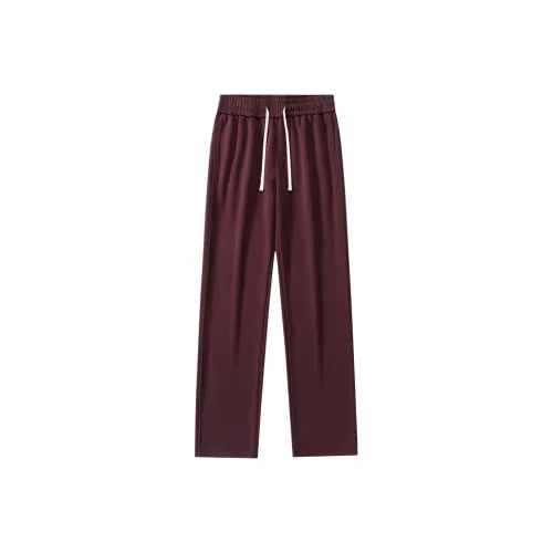 HATCHESSEL Мужские Повседневные Брюки