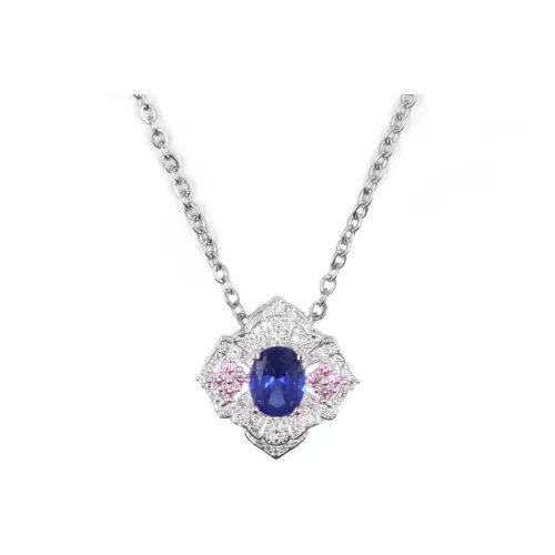 COMPLETE99% 316L Титановая сталь Ожерелья Унисекс