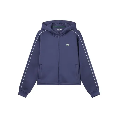 LACOSTE HIG/Фиолетово-синий Женские Толстовки
