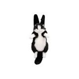 Чёрно-белый