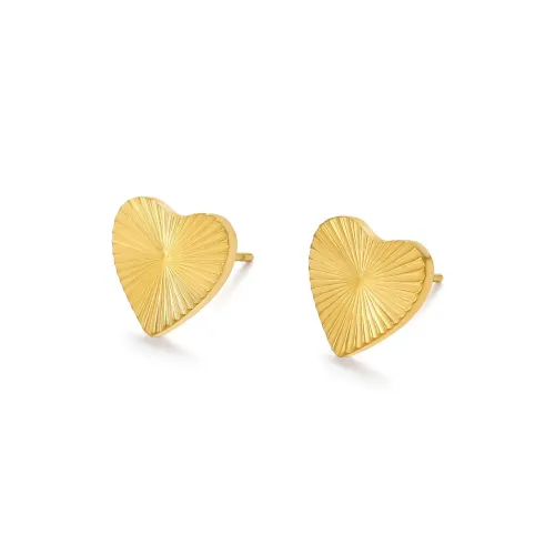 DODOGOGO Серьги из титанового стального сплава Женские