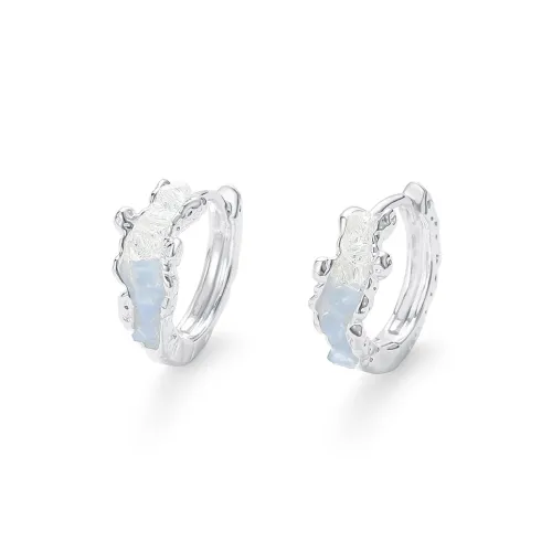 DODOGOGO Сплав Серьги Женские