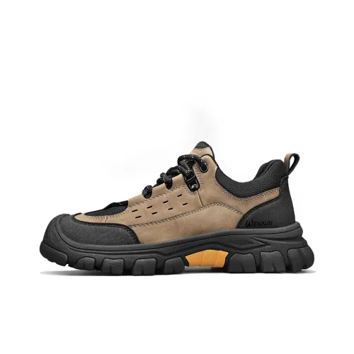 Wen Nai Casual Низкий Топ Khaki Мужской