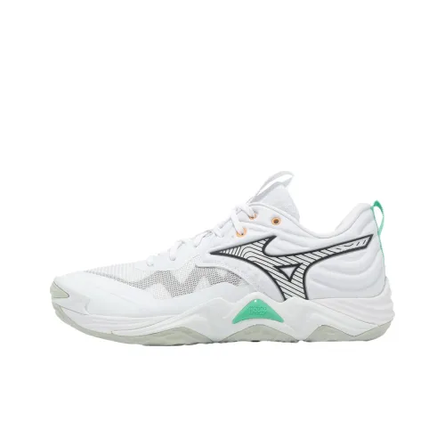 Mizuno WAVE MOMENTUM ELITE Дышащие Низкие Кроссовки для Тренировок Мужские Белые Черные