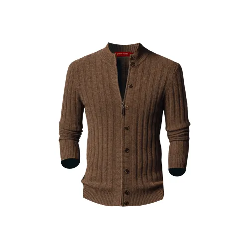 PIERRE CARDIN Мужской Трикотаж