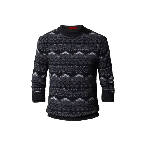 PIERRE CARDIN Мужской Трикотаж