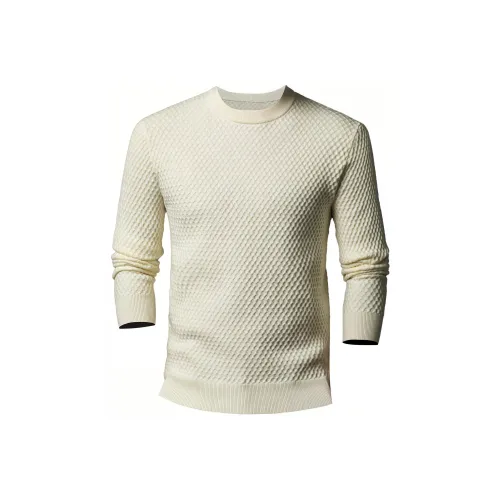 PIERRE CARDIN Мужской Трикотаж