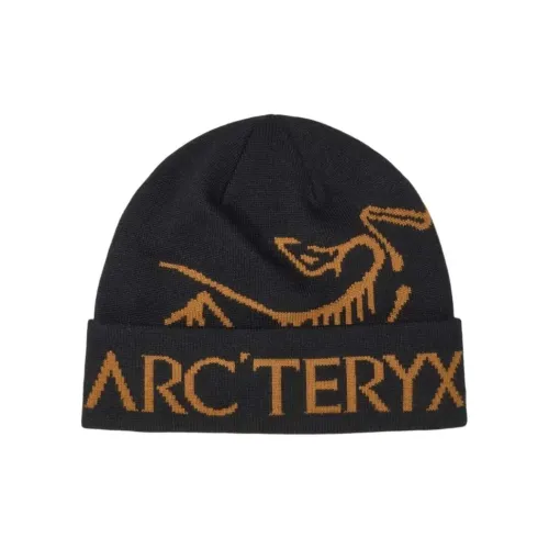 Arcteryx Переработанный полиэстер Шапки-бини Унисекс Черный