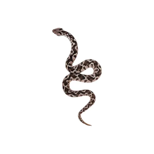 LIEJI Гладкий Призрак Многоцветный Наклейка Tattoo