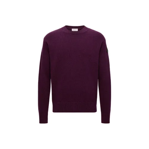 Moncler Фиолетовые Мужские Свитера