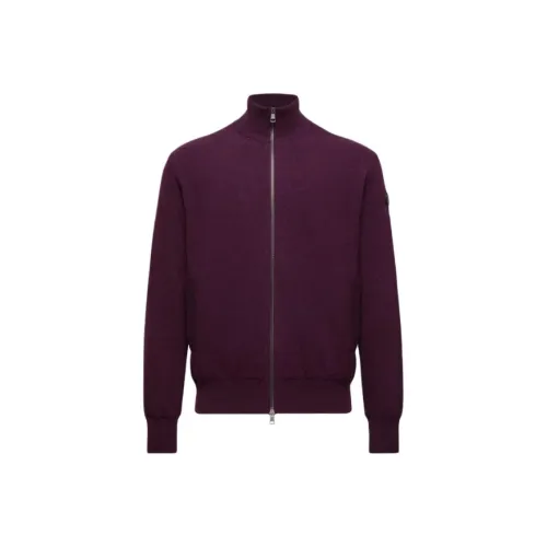 MONCLER Фиолетовые Мужские Свитера
