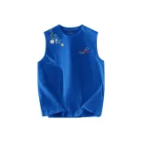 Синий Кляйна