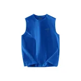 Синий Кляйна