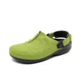 Зеленый яблочный