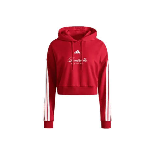 Adidas Louisville Свитшот Женские