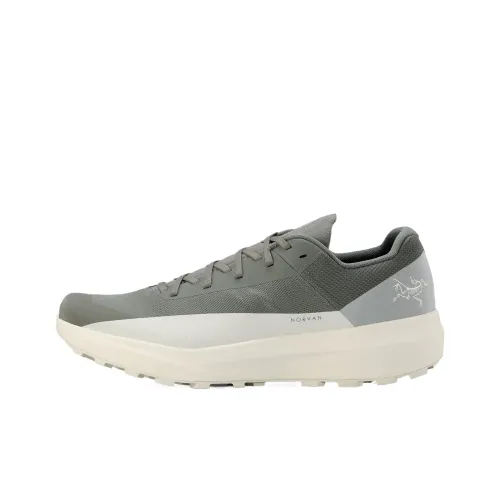 Arcteryx Norvan LD 4 Low Top Trail Беговые кроссовки Мужские Серый Белый
