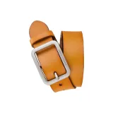 Верблюжий цвет