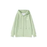 Светло-зеленый