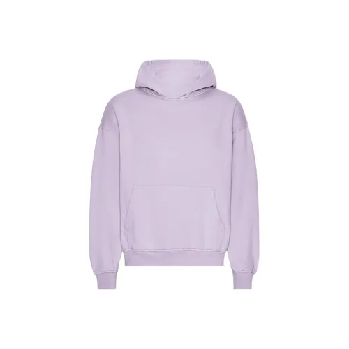 Colorful Standard Лаванда Мужские Свитшоты