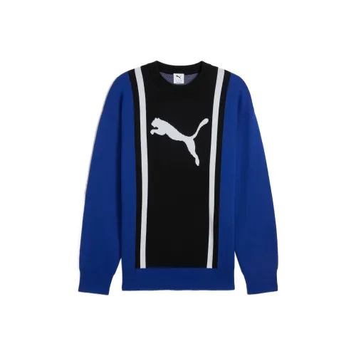 PUMA Будущее Синий Унисекс Свитеры