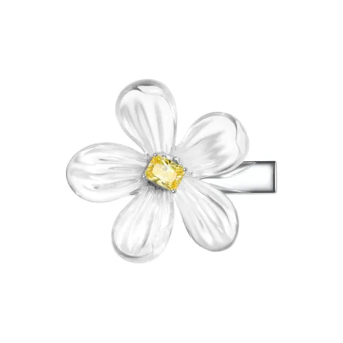 ZEGL Смола Заколки для волос Женские