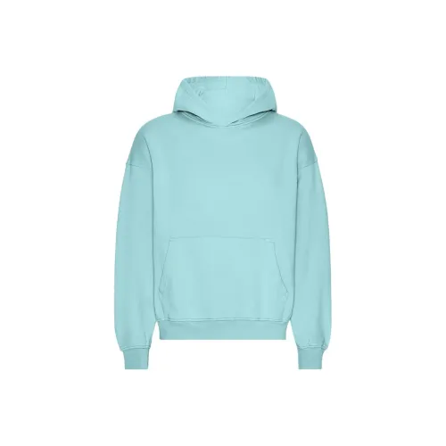 Colorful Standard Бирюзовый Мужской Свитшот
