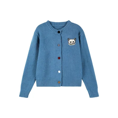 Coolhut Синий Женские Свитеры