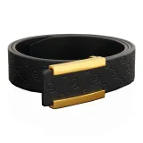 Золотая пряжка, черный ремешок
