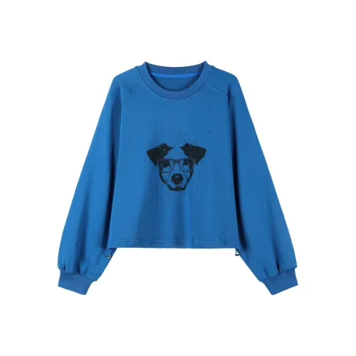 Coolhut Синий Женские Толстовки