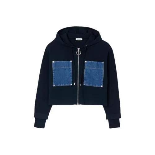 Sandro Темно-синий Женские Толстовки