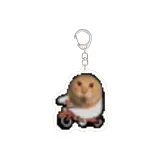 Котенок паук 7