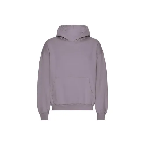Colorful Standard Фиолетовый Туманный Мужские Толстовки