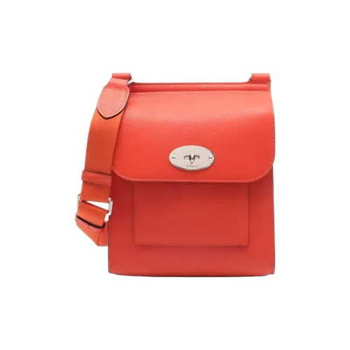 Mulberry Кожа Сумка через плечо Мини Женская Апельсин