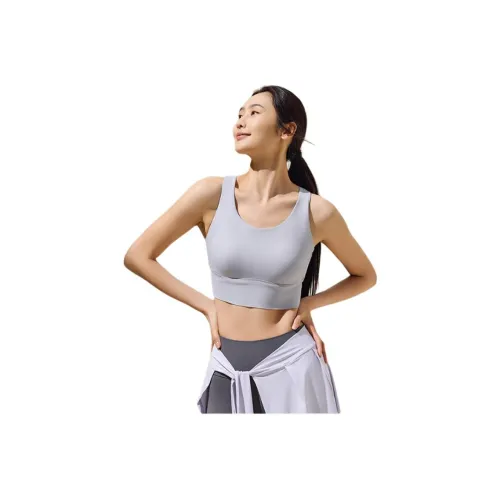 Anta Парча Серый Женское Спортивное Белье